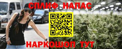 PSILOCYBIN Пушкино