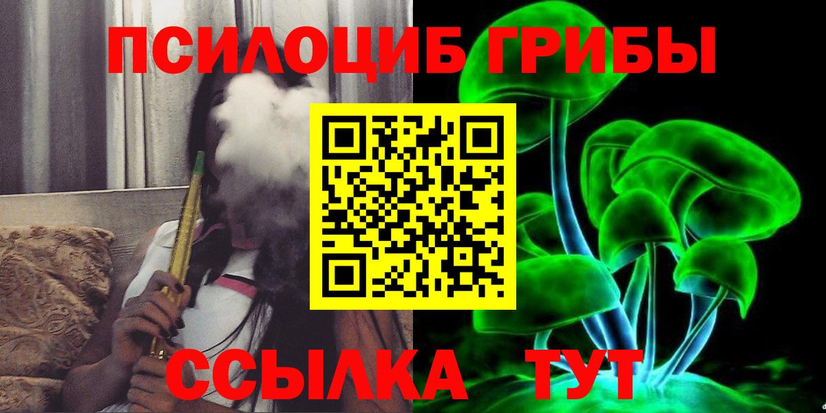 Нарткала  Псилоцибиновые грибы Psilocybine cubensis  Вход с VPN 