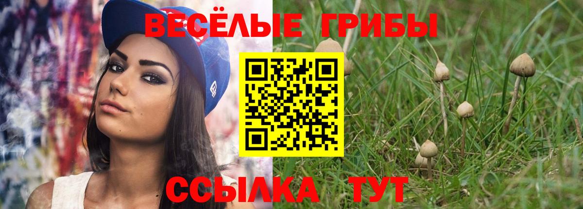 МЕТАМФЕТАМИН  Нарткала  Кокаин  Вход с VPN  Меф МЯУ МЯУ кристаллы  ГАШ  Канабис  LSD-25 